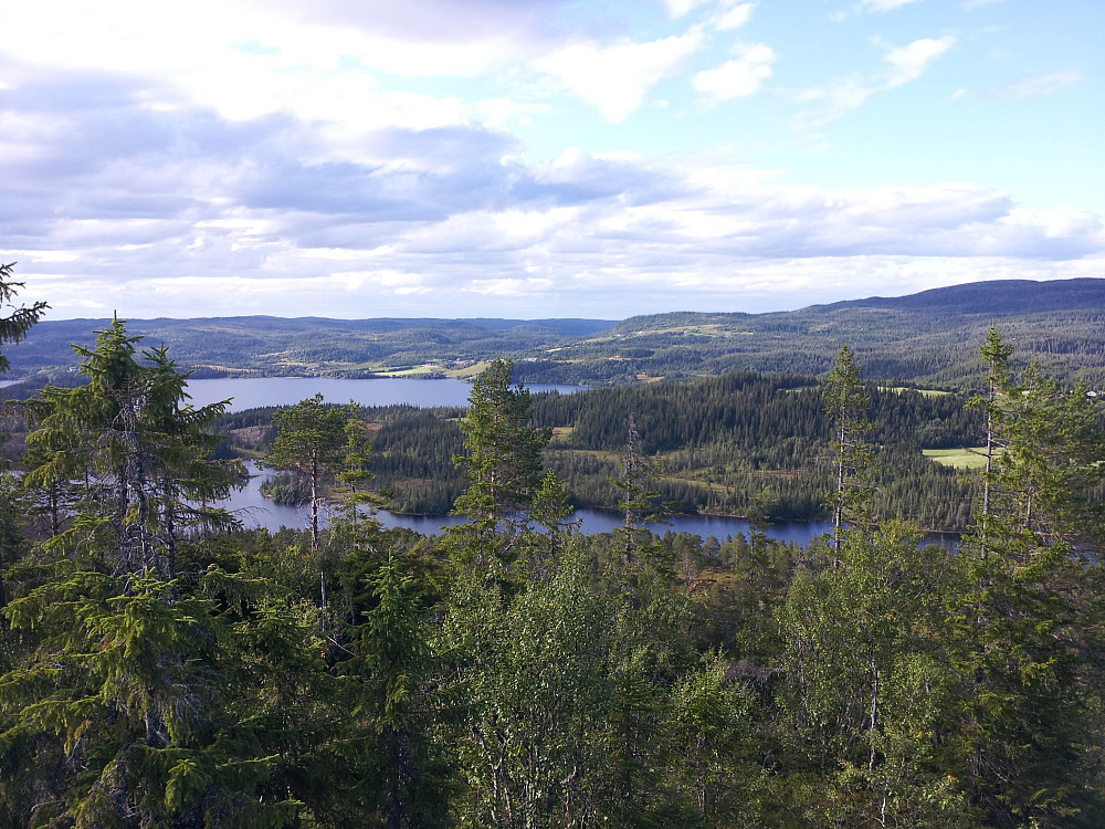 På Ørnklumpen med utsikt nordover mot Grønsjøen og hjemstedet til min bestefar, Sagåsen, den lille grønne flekken ned mot vatnet på midten øverst.