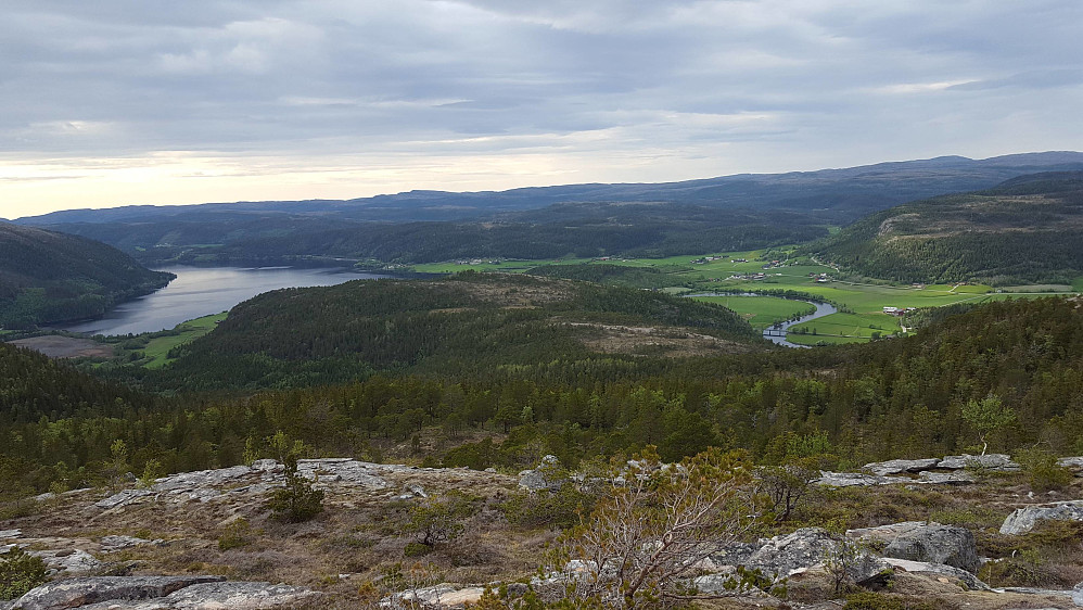 Utsikt over Stordalen i Åfjord..