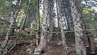 Icemann99_20161012_57fe883165b24.jpg
