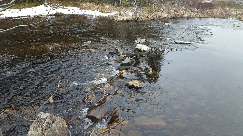 På returen satset vi på at det gikk å komme seg over elva mellom de to Leirsjøene. Det gikk med et nødskrik..