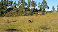 Icemann99_20180607_5b197eb5a263b.jpg