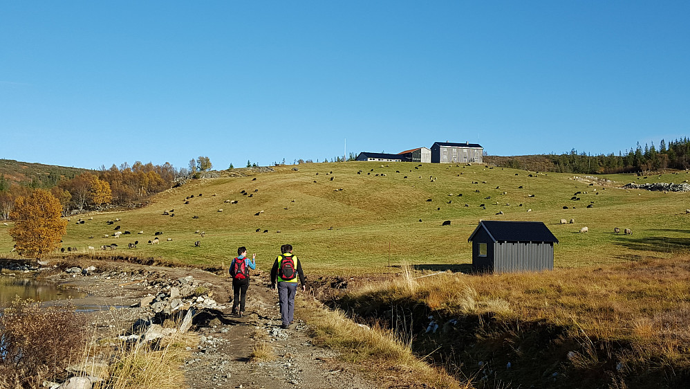 Her kommer vi til Lysvatnet gård.
