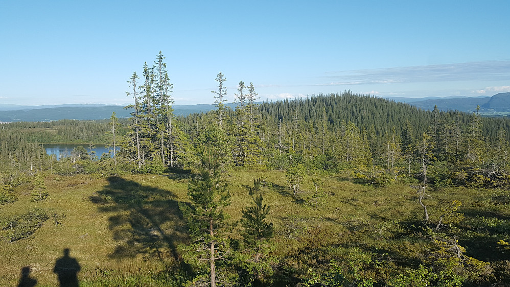 Sett fra Vintervasshøgda mot Henriksåsen med Vintevatnet til venstre.