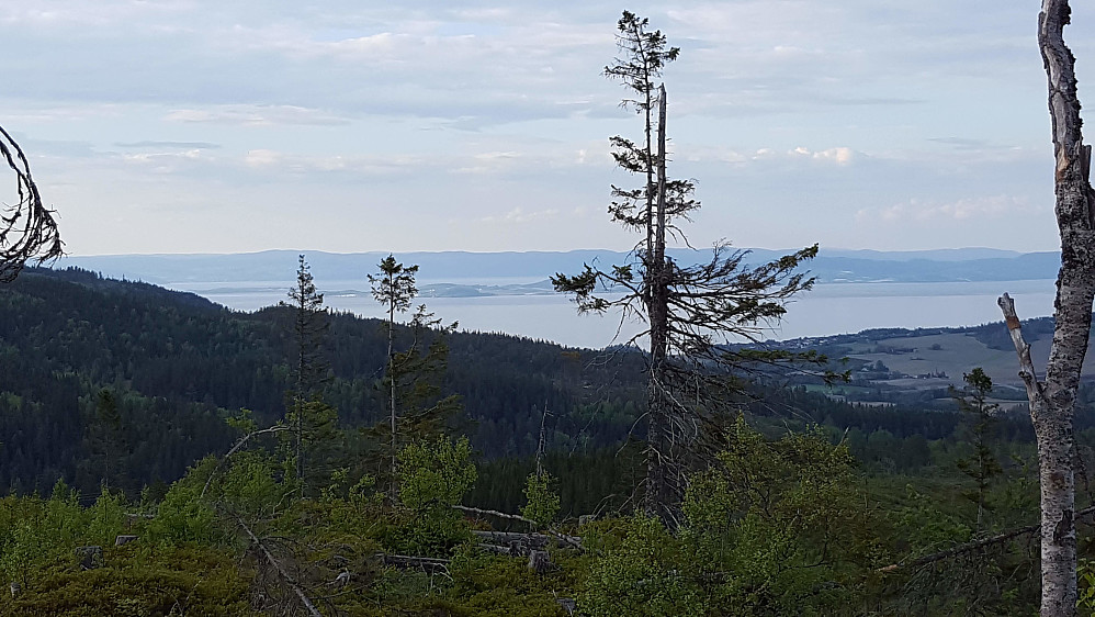 Her ser vi nordover mot Tautra (midt i fjorden på midten), Frosta (til høyre) og Leksvika (bakerst til venstre).