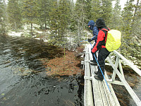 Icemann99_20190810_5d4ebd64f0df1.jpg