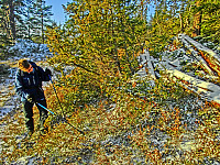 Icemann99_20190810_5d4ebd85360b1.jpg