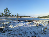 Icemann99_20190810_5d4ebda2cf1e5.jpg