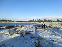 Icemann99_20190810_5d4ebda6bad27.jpg