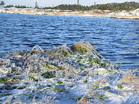 Icemann99_20190810_5d4ebdab64860.jpg