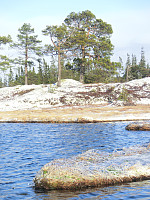 Icemann99_20190810_5d4ebdb4b9103.jpg
