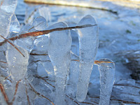 Icemann99_20190810_5d4ebdb91ea69.jpg