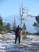 Icemann99_20190810_5d4ebdbcbdd0e.jpg