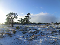 Icemann99_20190810_5d4ebdcb0e302.jpg