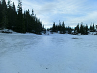 Icemann99_20190810_5d4ec66ca3cc5.jpg
