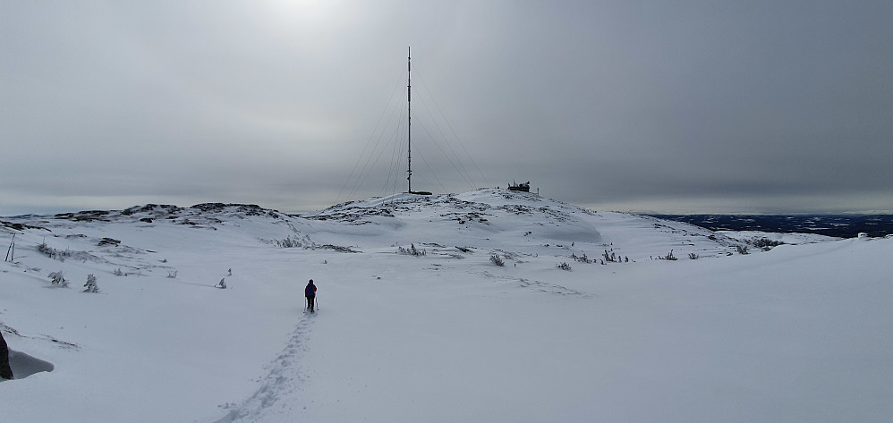 Masta er gedigen. Og ruta vi valgte mot toppen var det ingen andre som tok. Så hadde de ski på beina å da.