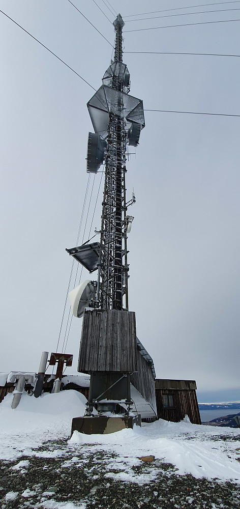 Masta er VELDIG stor. 220 meter høy for å være nøyaktig.