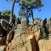 Icemann99_20201120_5fb837381b094.jpg