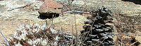 Icemann99_20201120_5fb83743e9d79.jpg