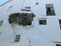 Icemann99_20201120_5fb83f9a81cec.jpg