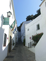 Icemann99_20201120_5fb83fa2db73d.jpg