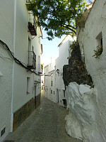 Icemann99_20201120_5fb83fc05cbba.jpg