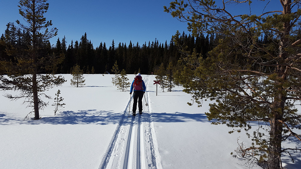 Nydelige forhold. Nesten ingen ute på tur. ALLE er i utforløypene på Åreskutan..