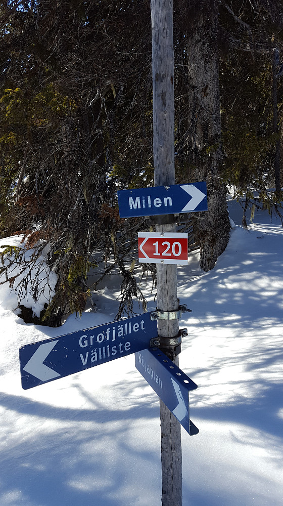 Her er alle løypene merket meget bra. Egne løyper for scootere og alt var av høy kvalitet..