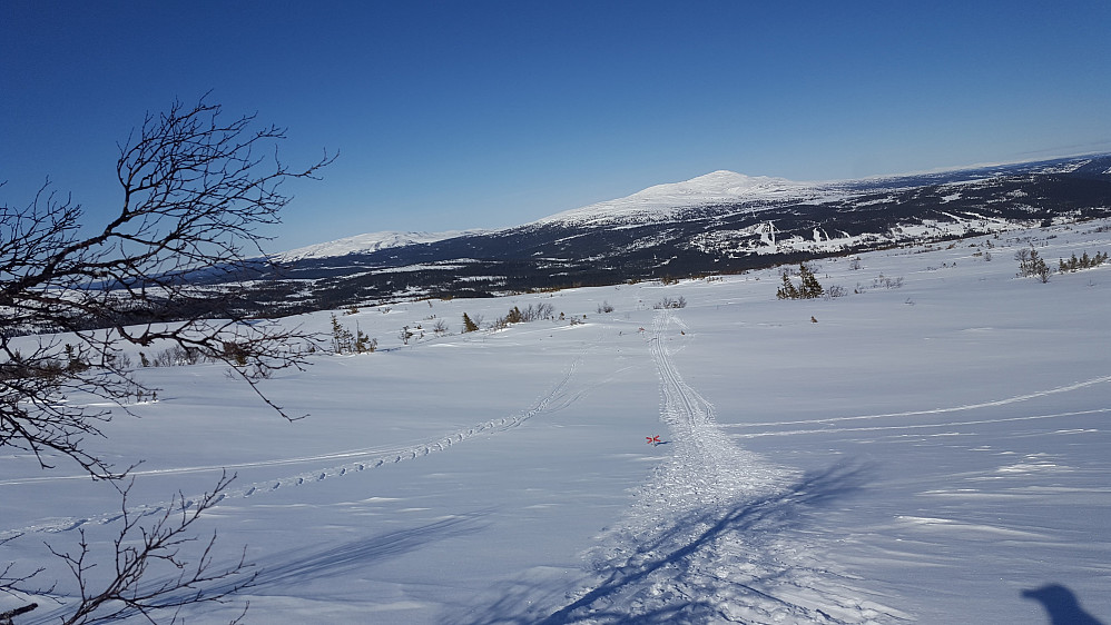 Nedfarten ser fin og uskyldig ut.. men synet kan bedra. Snøfonner her og der gjorde føret lumskt for, da man ikke så hvor de var..