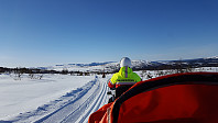 Icemann99_20210202_6019a160394c8.jpg
