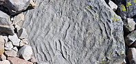 Icemann99_20210216_602bb7680c1c7.jpg