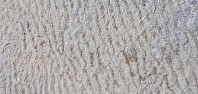 Icemann99_20210216_602bb83e323be.jpg