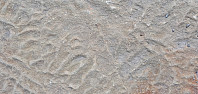 Icemann99_20210216_602bb8449fa45.jpg