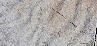 Icemann99_20210216_602bb849d60d7.jpg