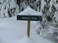 Icemann99_20210226_6038a9c119a56.jpg
