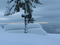 Icemann99_20210226_6038a9c5ef0a1.jpg