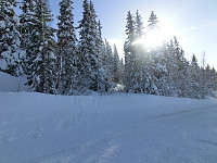 Icemann99_20210226_6038cb3912f58.jpg