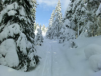 Icemann99_20210226_6038cb4071e0c.jpg