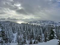 Icemann99_20210226_6038cb464834f.jpg