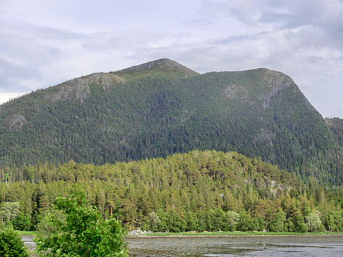 Melanakken i Åfjord 345 moh.