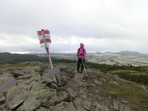Storheia i Trondheim 566moh