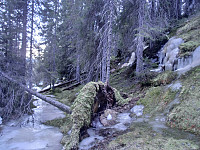 icemann99_140209_bårvatna_6_4km_2_5t_37.jpg