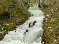icemann99_140223_svalbakkheia_på_iselva_083.jpg