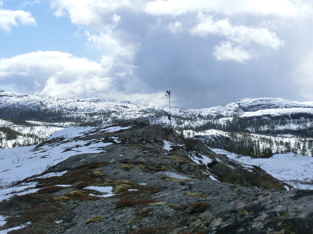 Toppen av Trånåheia.