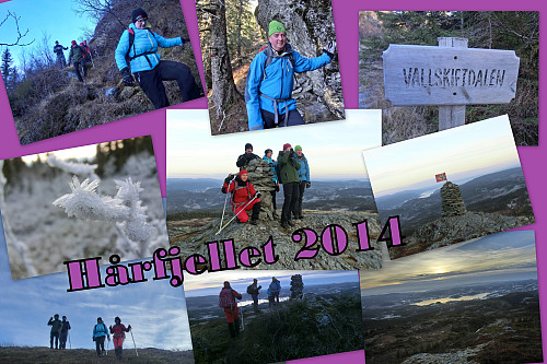 Førsnø vinter.