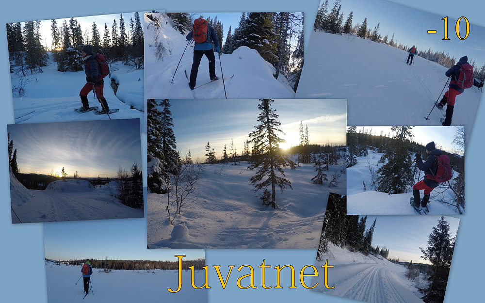Flott vintervær på Leksvikskogen.