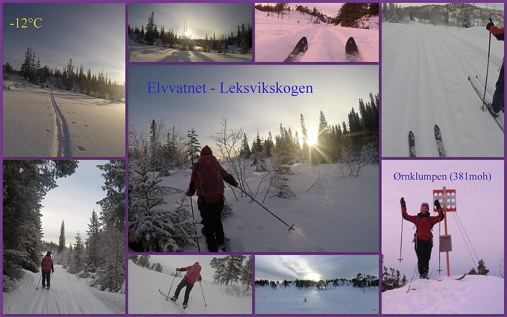 Dagens tur!