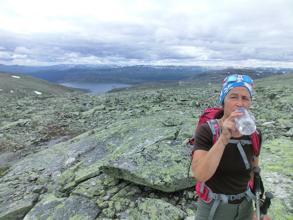 Vi starta ved vannet i det fjerne (Vavatn 1124moh). Steinrøysa kom over 1500moh.