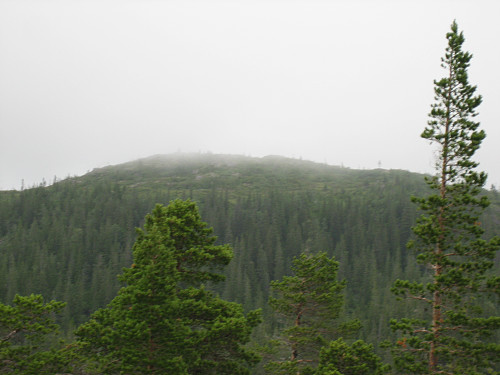 Storknuken (502 moh) sett fra Slettheia (491 moh). 
Tåka kom slik at vi holdt oss 11 meter lenger ned. :-)