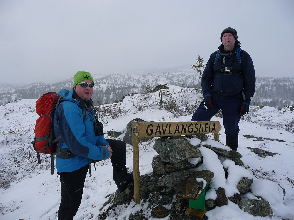 Gavllangsheia rett å slett
