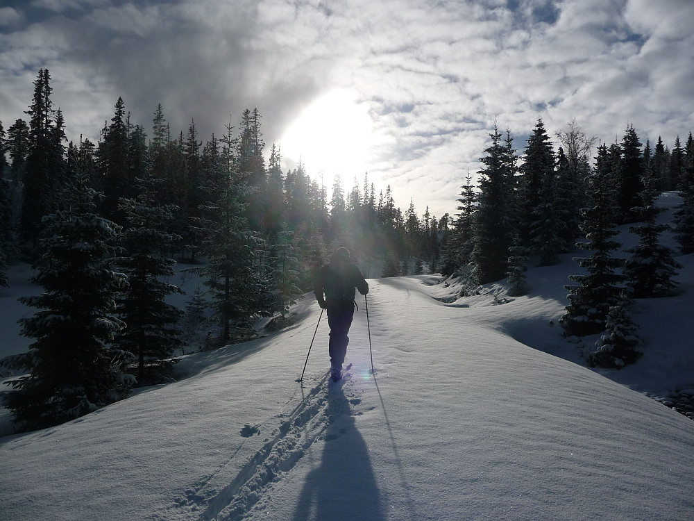 Vidar på vei inn i solnedgangen